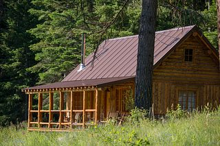 A rustic log cabin with a metal roof sits in a forest clearing, surrounded by tall evergreen trees, wild grass, and small meadow flowers.