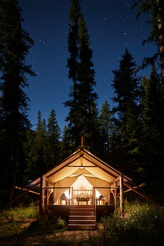 A warmly lit canvas glamping tent glows in a forest clearing at night, surrounded by tall evergreens beneath a star-filled sky.