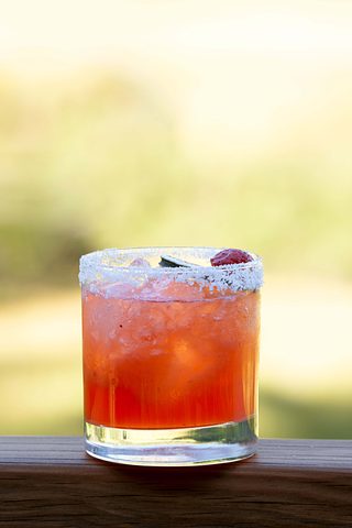 A bright orange cocktail with a salted rim sits on a wooden railing, garnished with fruit and set against a soft, sunlit background.